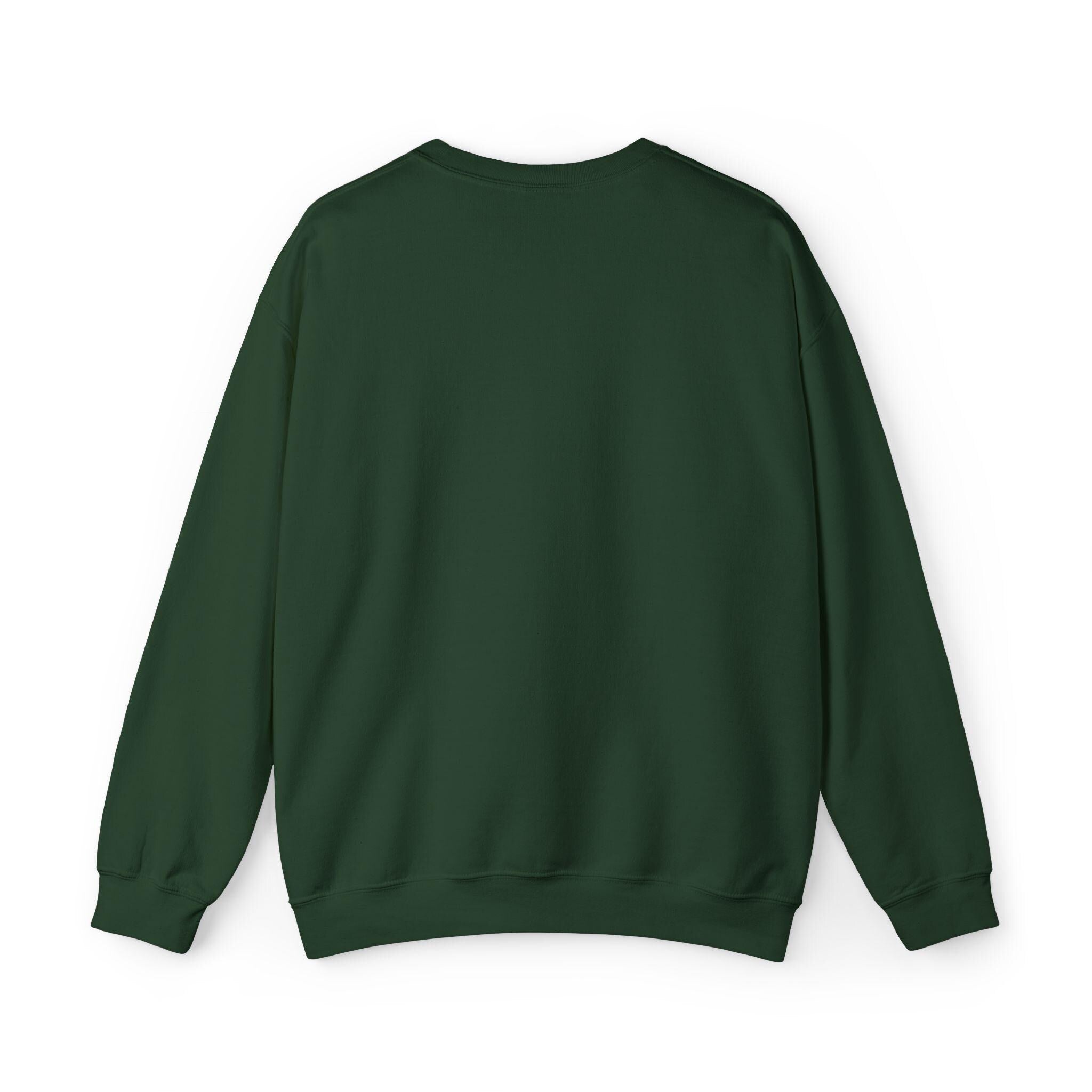 Embroidered SOL Run Club sweatshirt